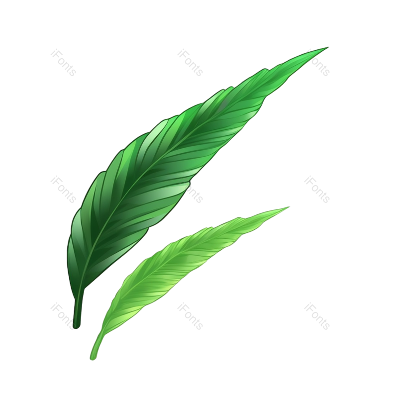 叶子图片,纹理元素,清新PNG,夏天免抠素材